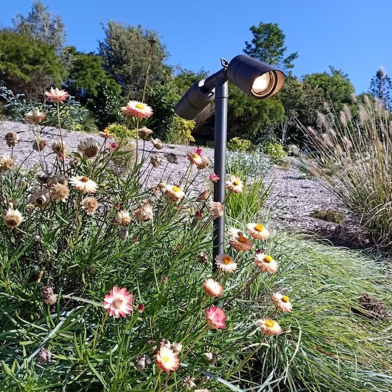 A Lamp is Sitting in the Middle of a Field of Flowers — Bangalow Electrical in Bangalow, NSW