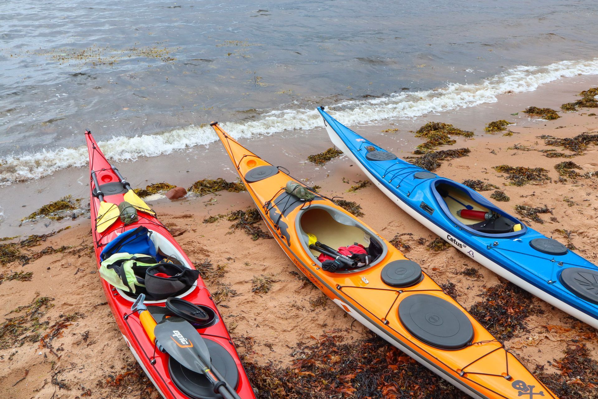 Three colorful kayaks on a sandy beach, ready for kayaking. One is red, one orange, and one blue.