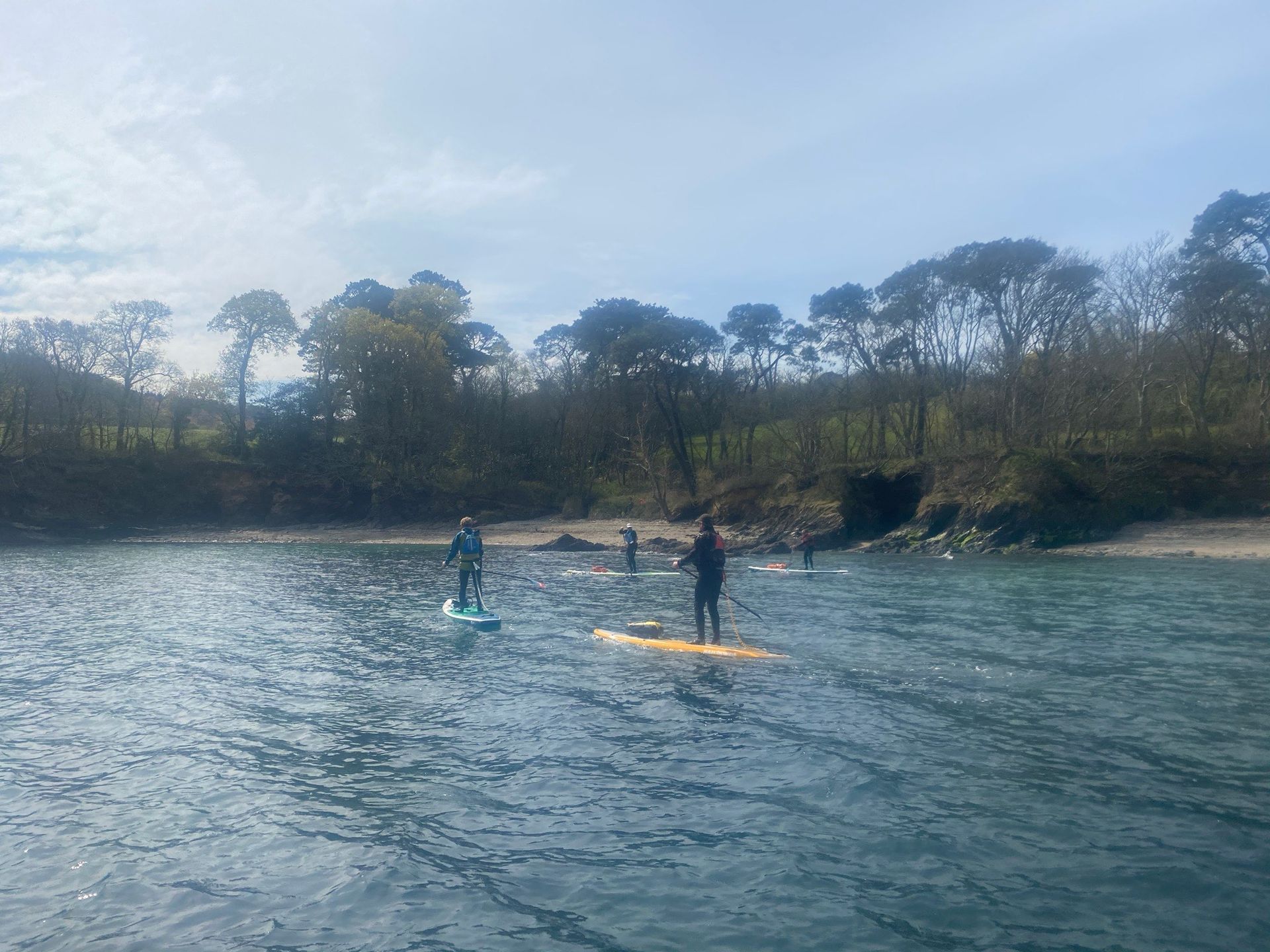People paddleboarding on calm water near a shoreline with trees under a partly cloudy sky.