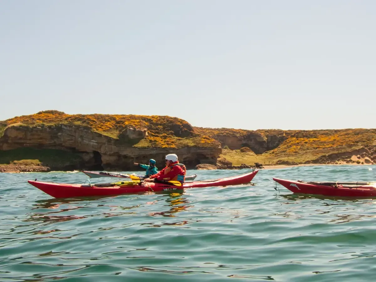Kayakers in red boats on a turquoise sea near a rocky, grassy coastline on a sunny day.