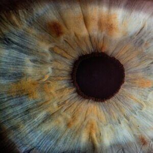 corneal ulcer medication