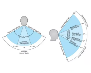 A diagram of a person 's vision shows the standard line of sight