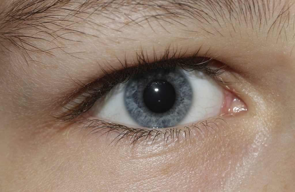 eye dilation