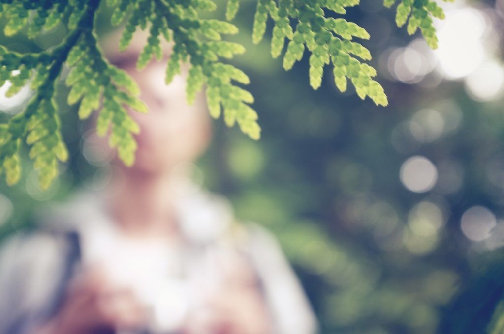 A blurry picture of a person taking a picture of a tree.