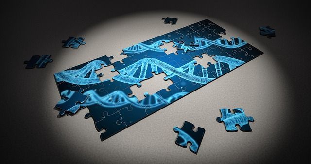 A puzzle with a picture of dna on it