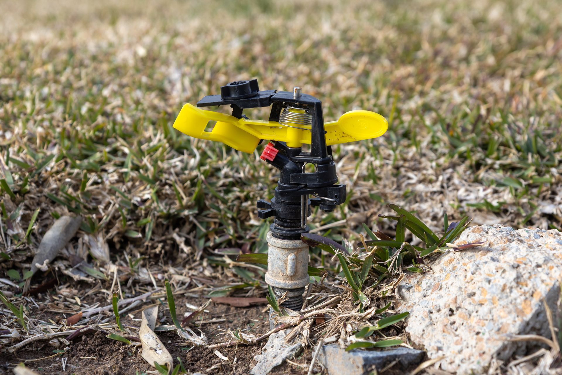 Sprinkler head installed in residential lawn irrigation system for efficient water coverage. Sprinkler head installed in residential lawn irrigation system for efficient water coverage.