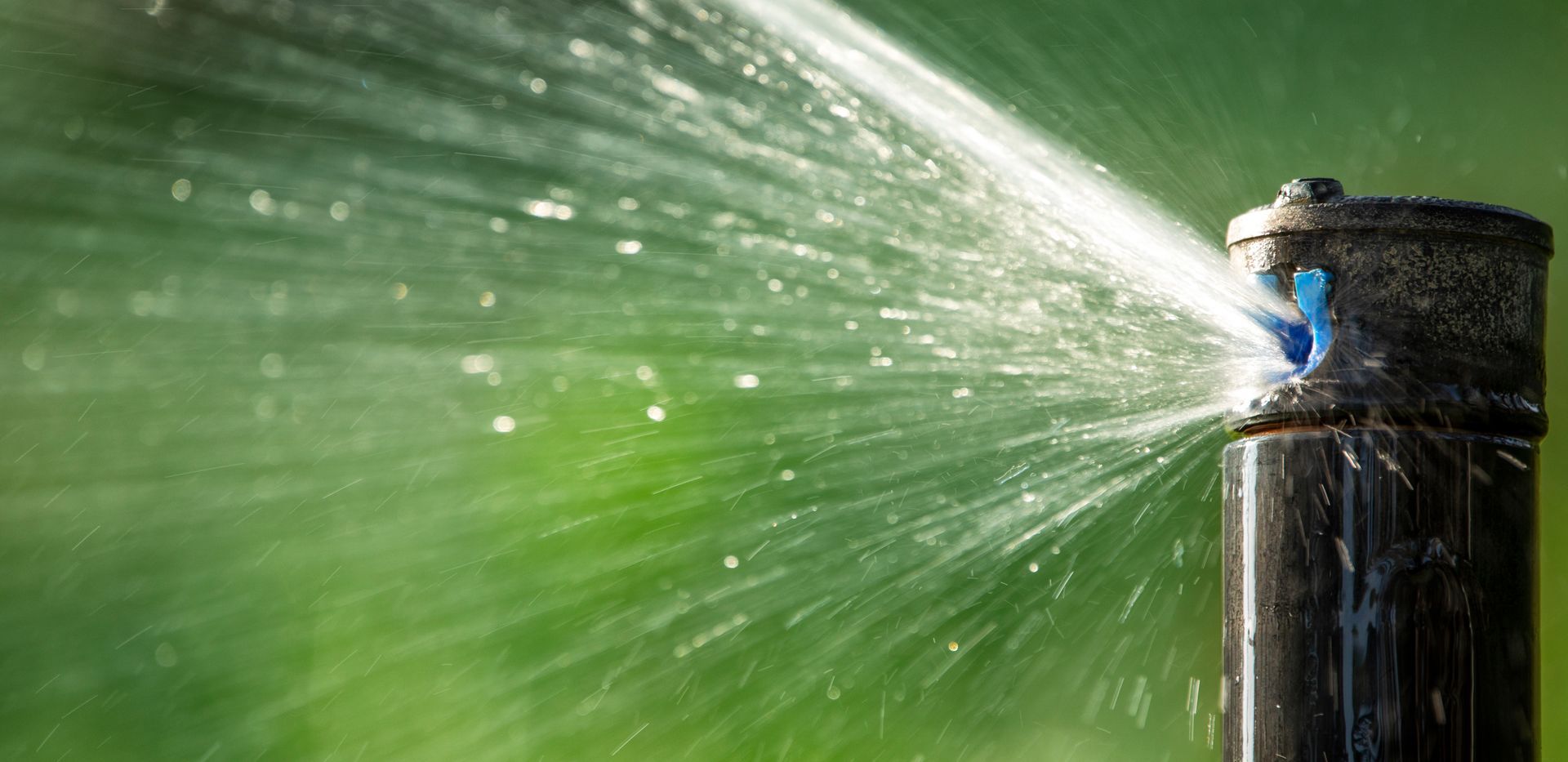 Sprinkler spraying water in a green garden, with a close-up black nozzle on the right