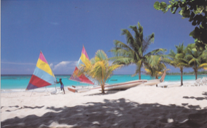 Colorful sailboats on a tropical beach with palm trees and turquoise water under a blue sky
