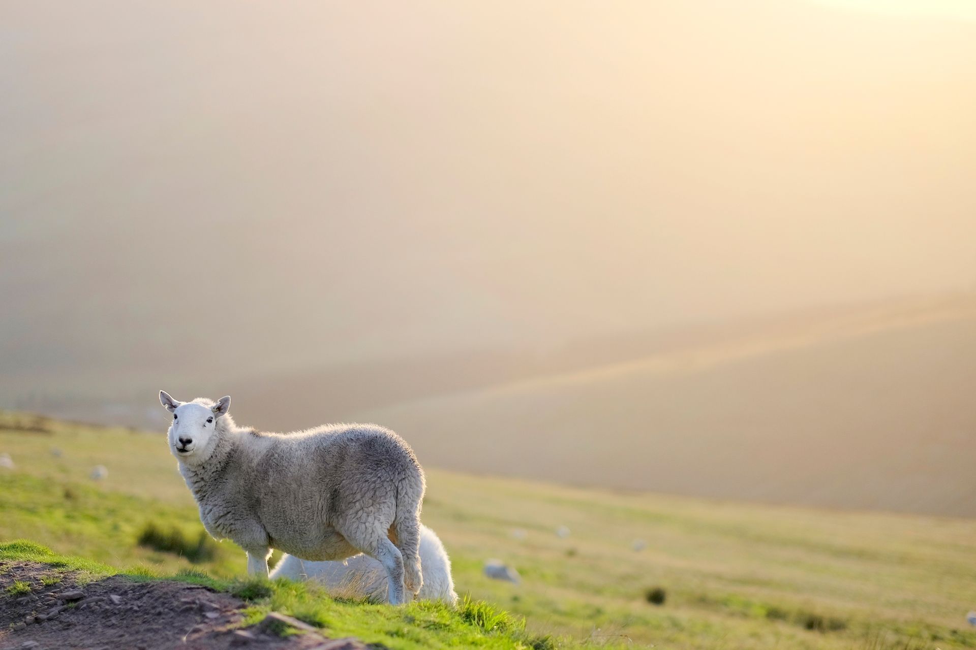 Great Walks in the Brecon Beacons