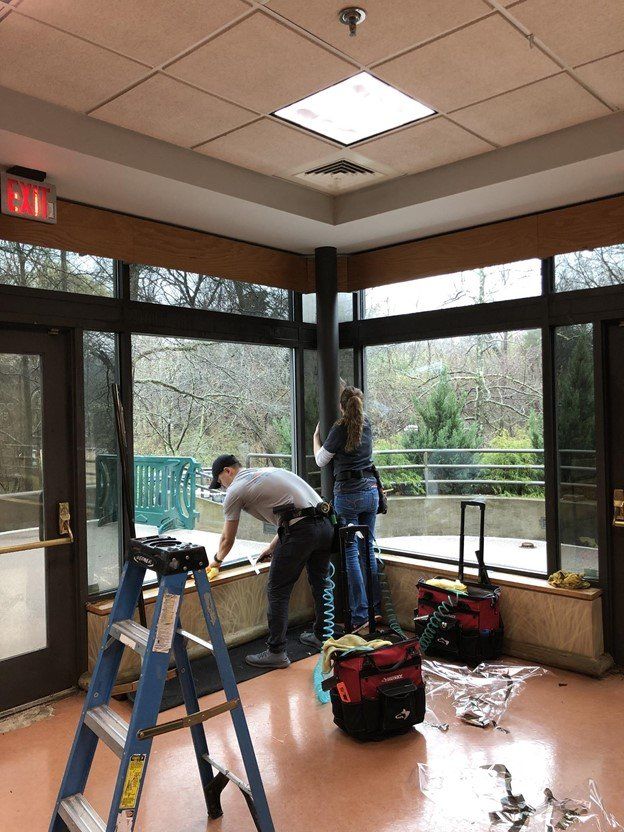 Nashville window film