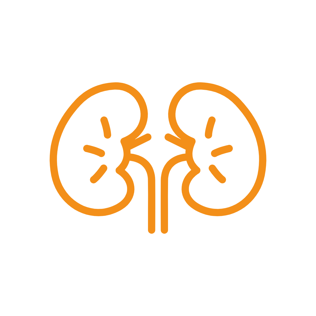 Kidneys