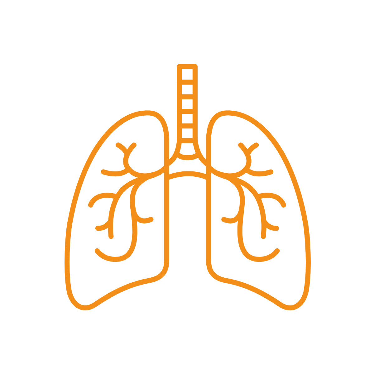 Lungs