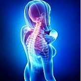 Chiropractor Image 3