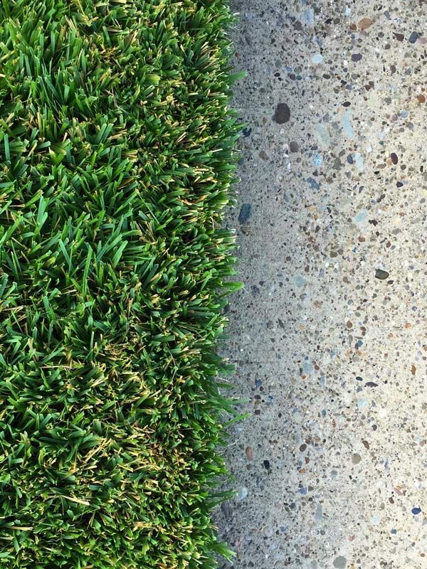 edge of grass by sidewalk