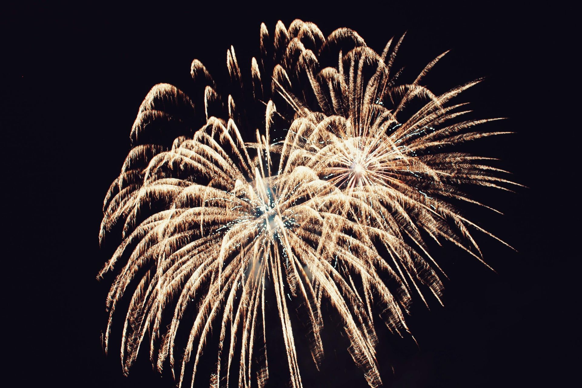 Fireworks burst against a dark night sky, with gold and white light trails radiating outwards.