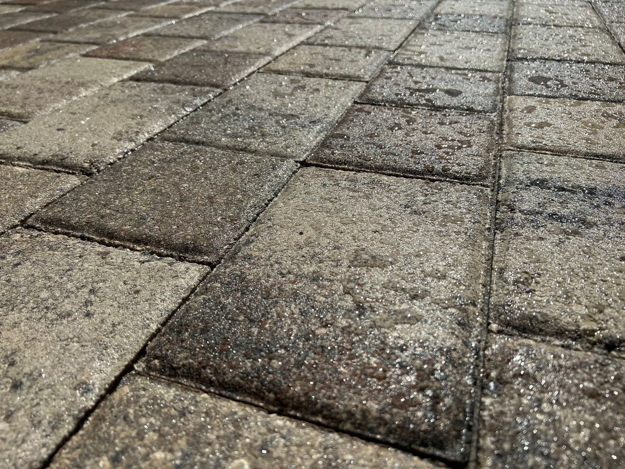 A close up of a brick paver walkway with water drops on it.