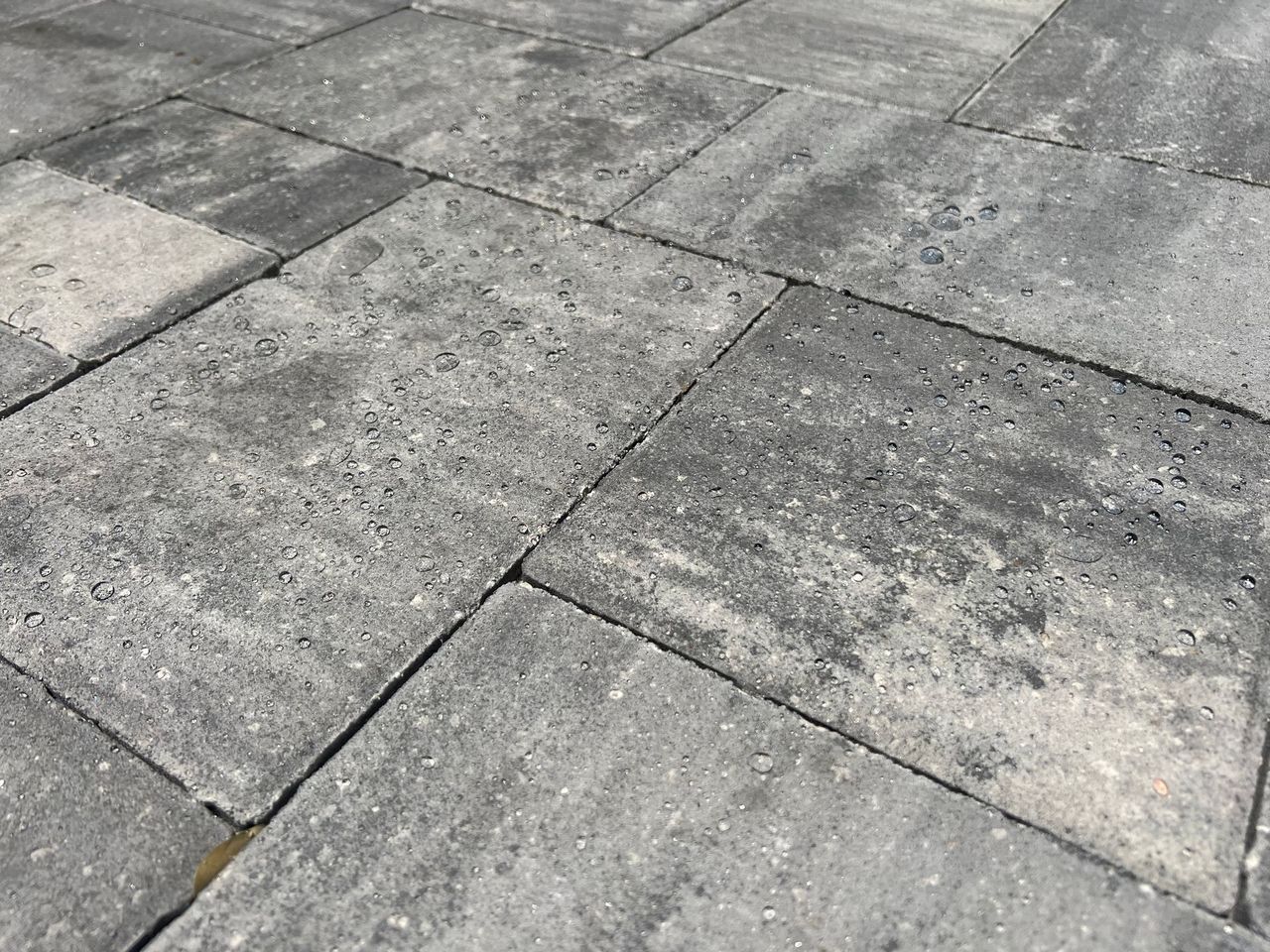 A close up of a brick paver driveway with tiny water beads on it.