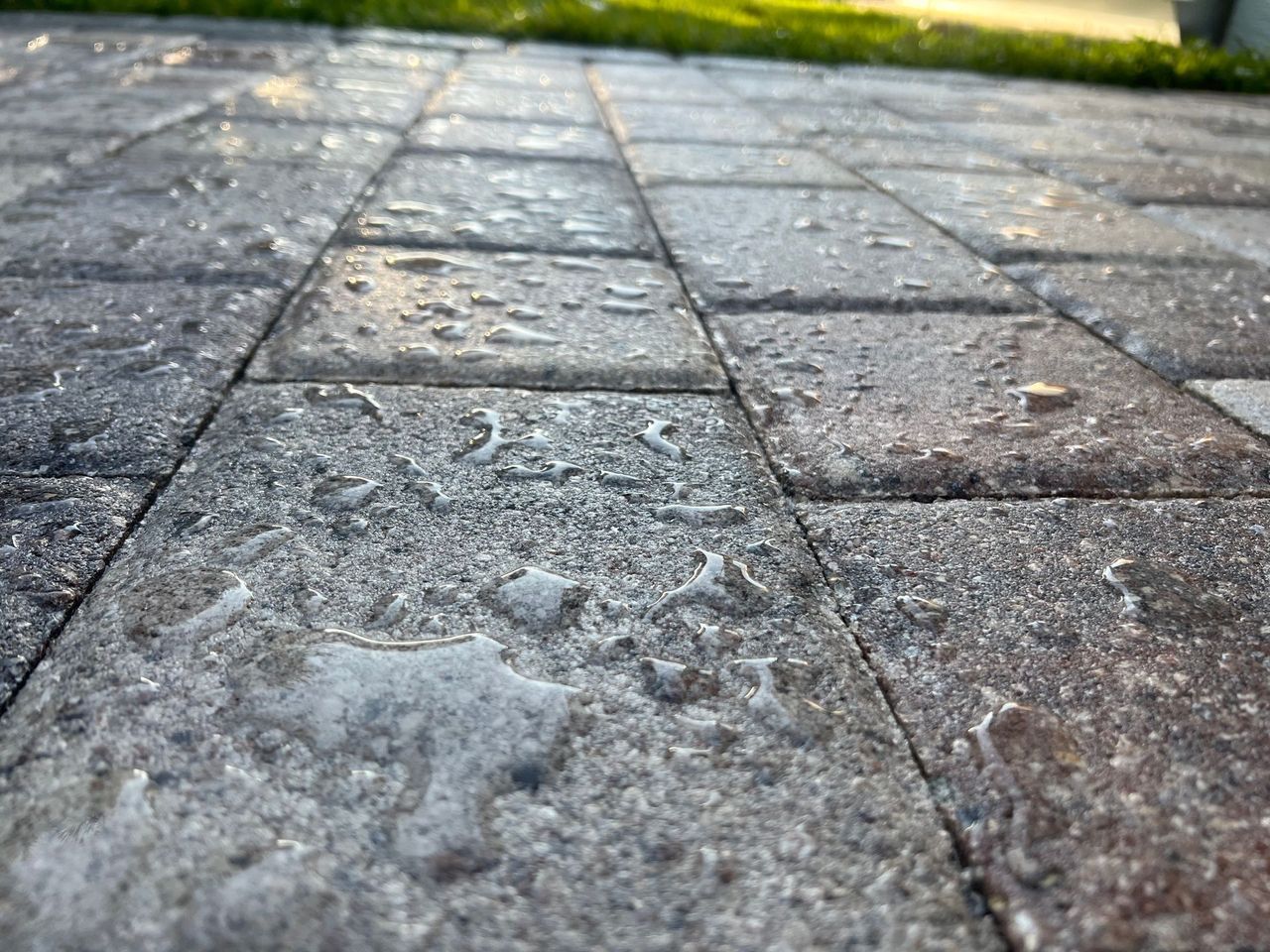 A close up of a brick Paver walkway with water drops on it.