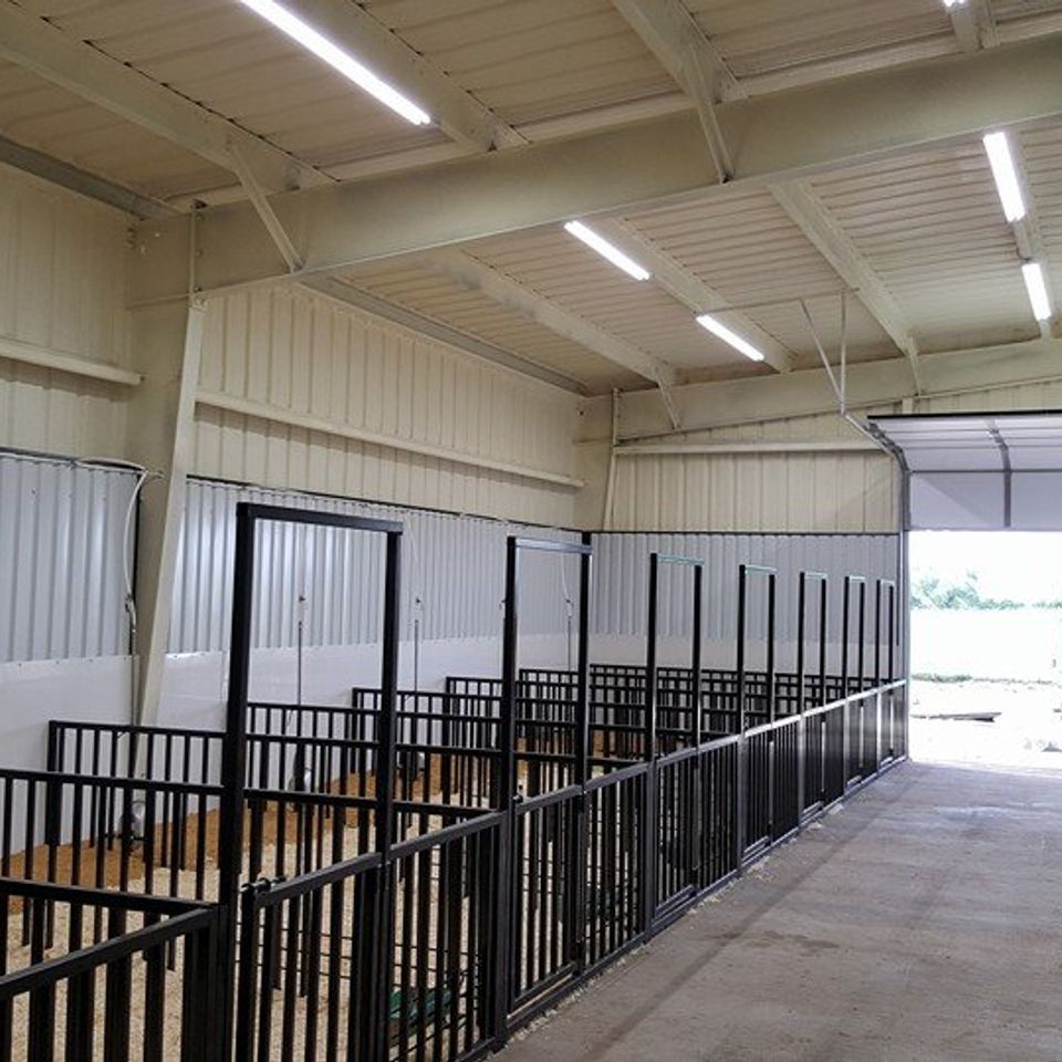 Interior of an equine stable with stalls and overhead lighting.