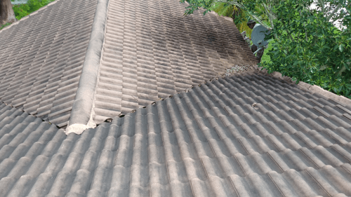 A close up of a tiled roof with a tree in the background.
