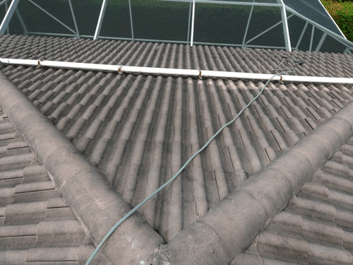 A roof with a greenhouse in the background