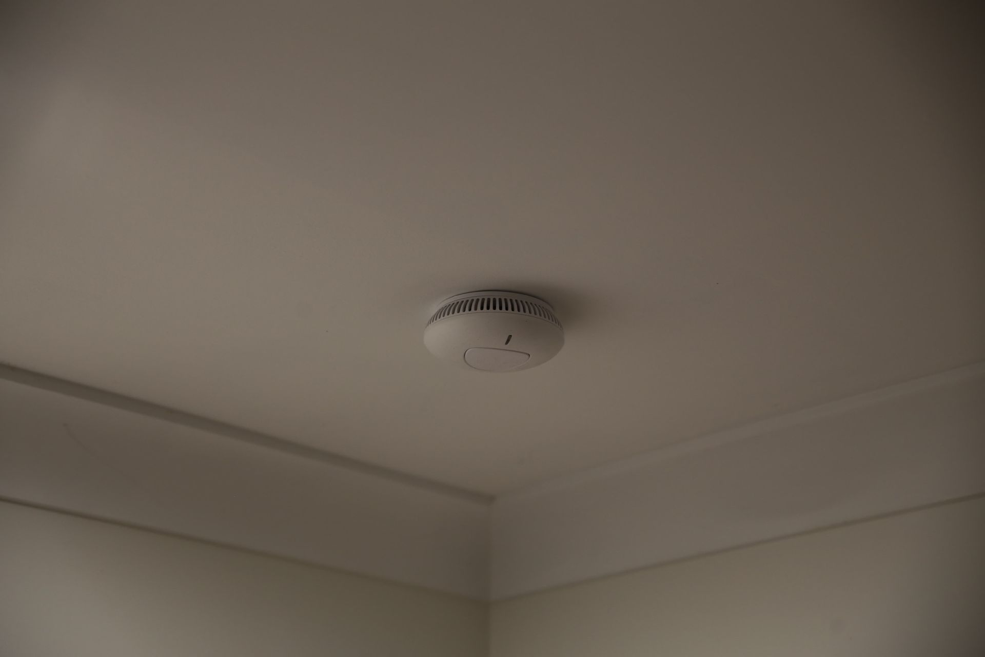 A smoke detector is mounted to the ceiling of a room.