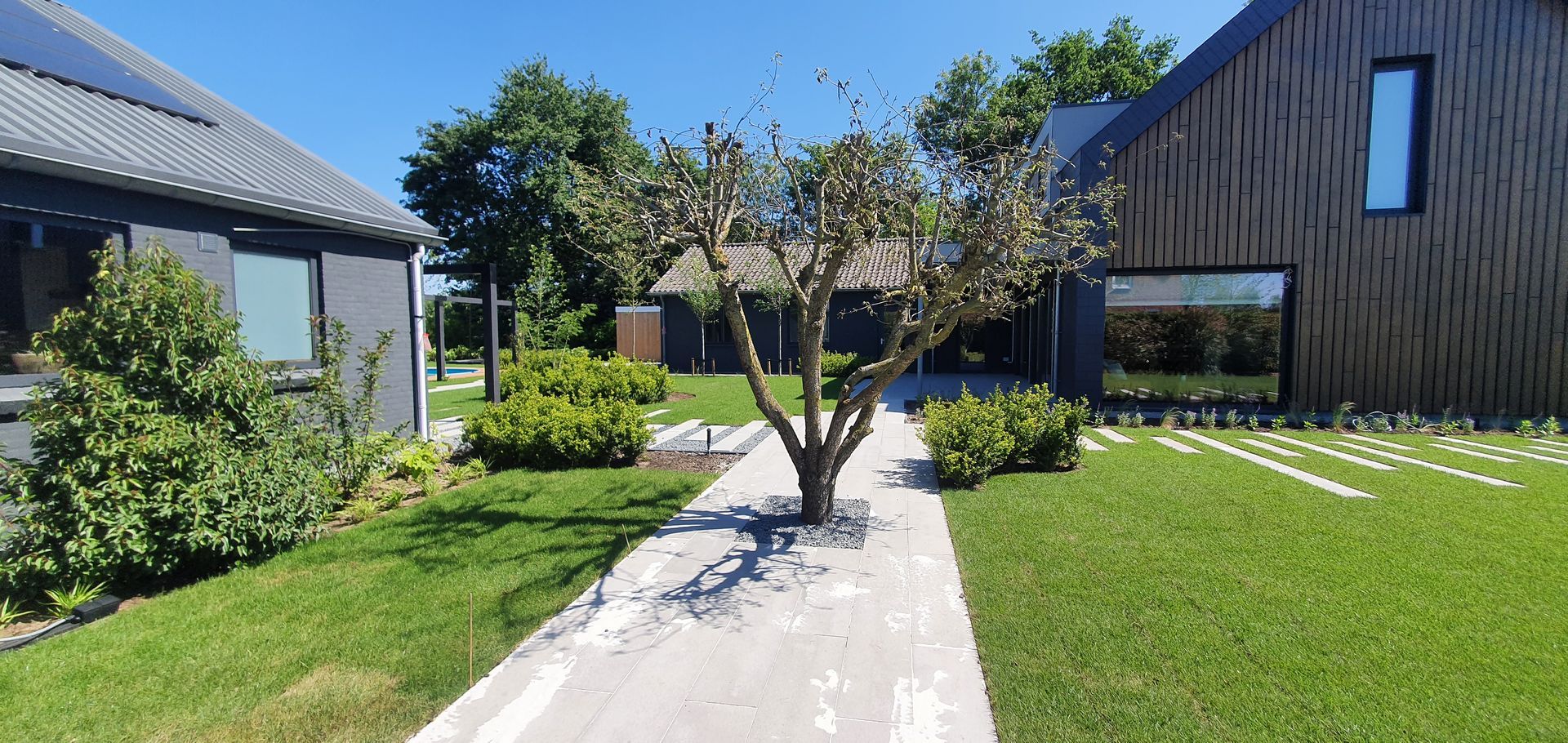 Modern tuinpad tussen twee huizen met gemaaid gazon, bomen en een blauwe hemel.