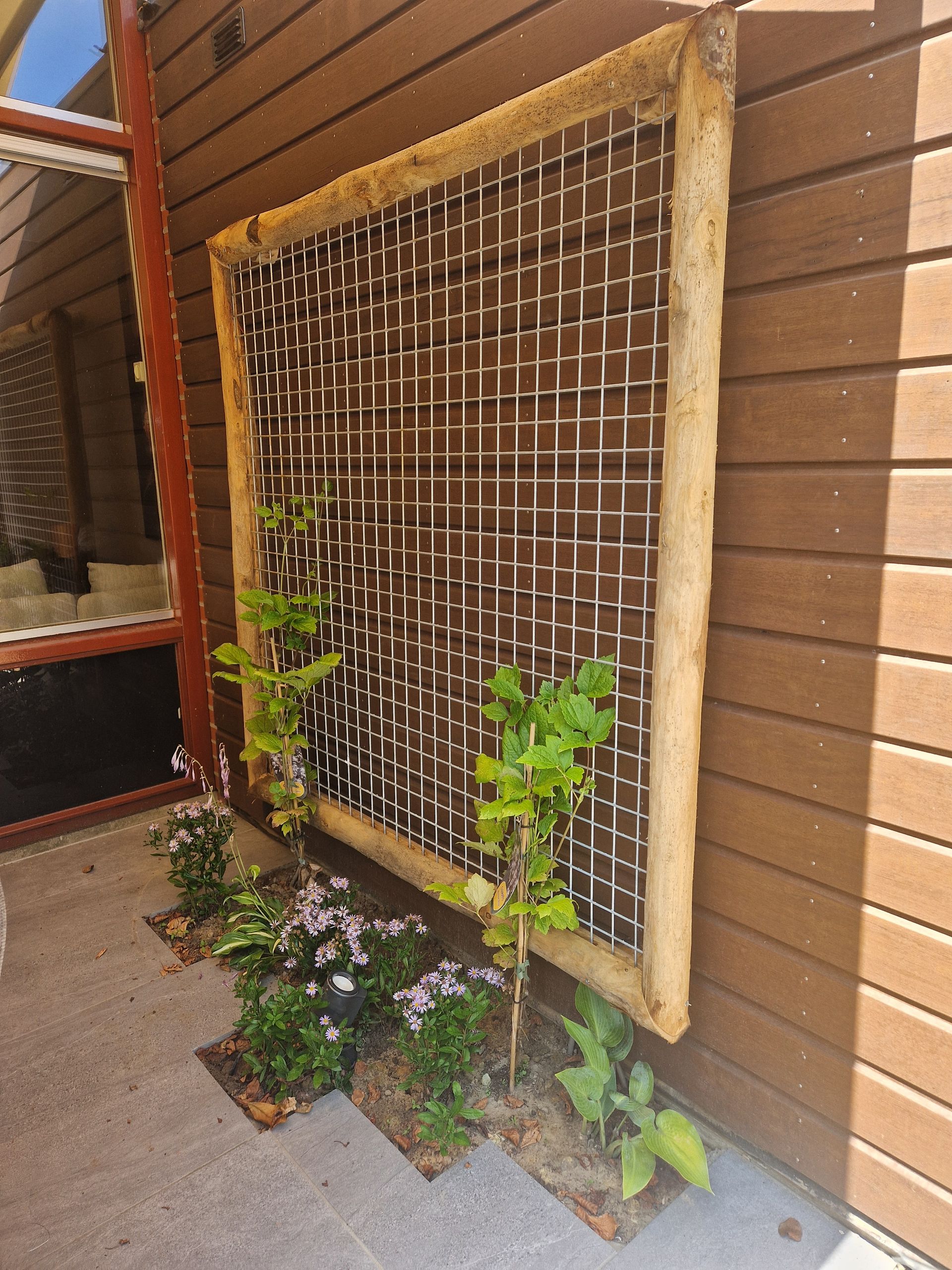 Houten latwerk met klimplanten naast een bakstenen muur en een terraspad.