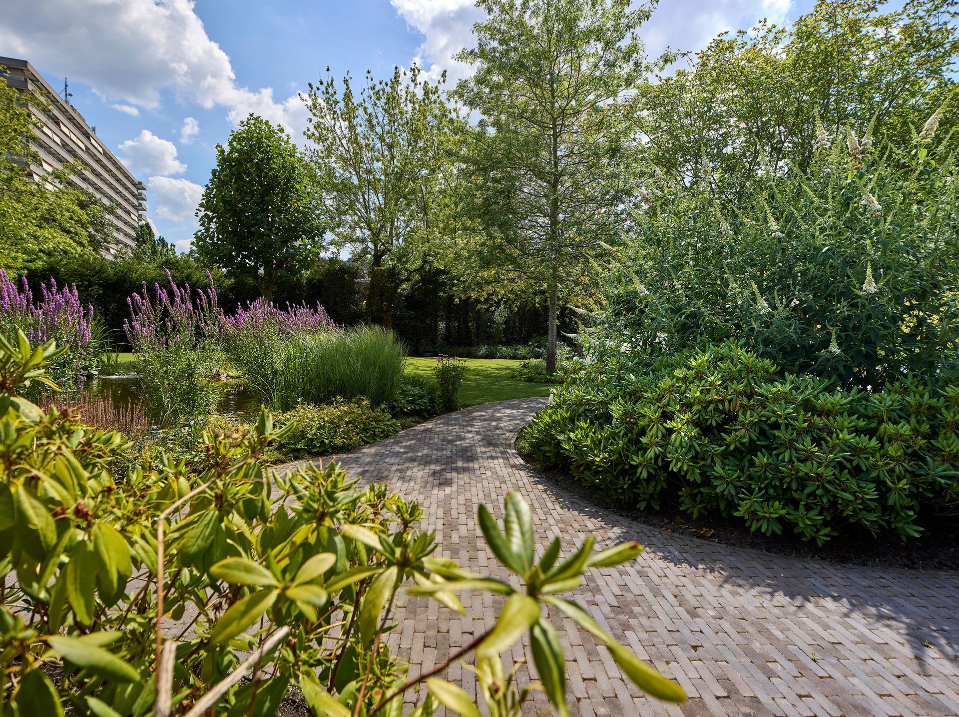 Een zonovergoten tuinpad kronkelt langs weelderige groene struiken, paarse bloemen en hoge bomen onder een blauwe hemel.