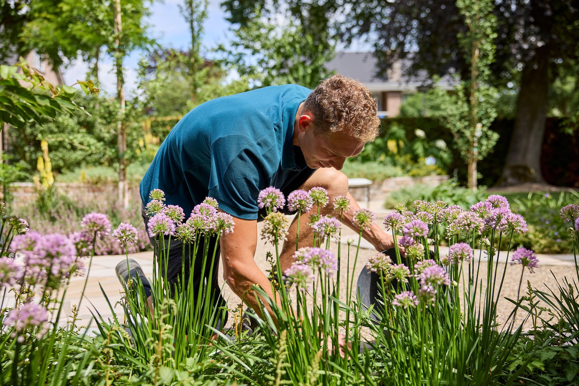 Een bakstenen huis met een kleine voortuin met groene struiken, een kleine boom en een lage rode stenen keermuur.