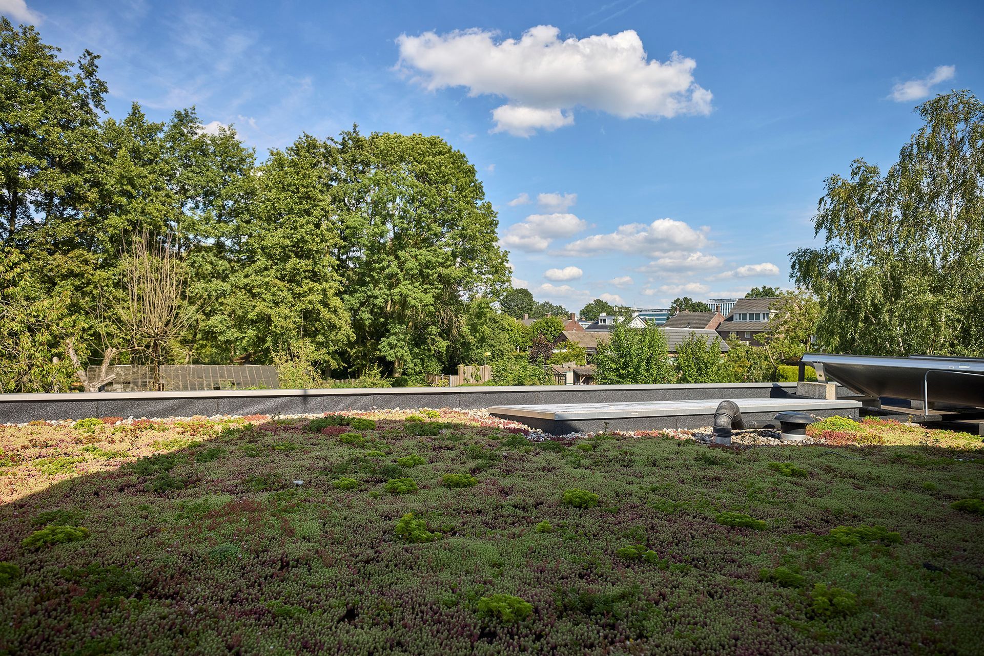 Daktuin met bomen, blauwe lucht en in de verte gebouwen achter een lage metalen reling.