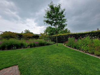 Een weelderig groen gazon, omgeven door bloembedden met een boom in het midden, onder een bewolkte hemel.