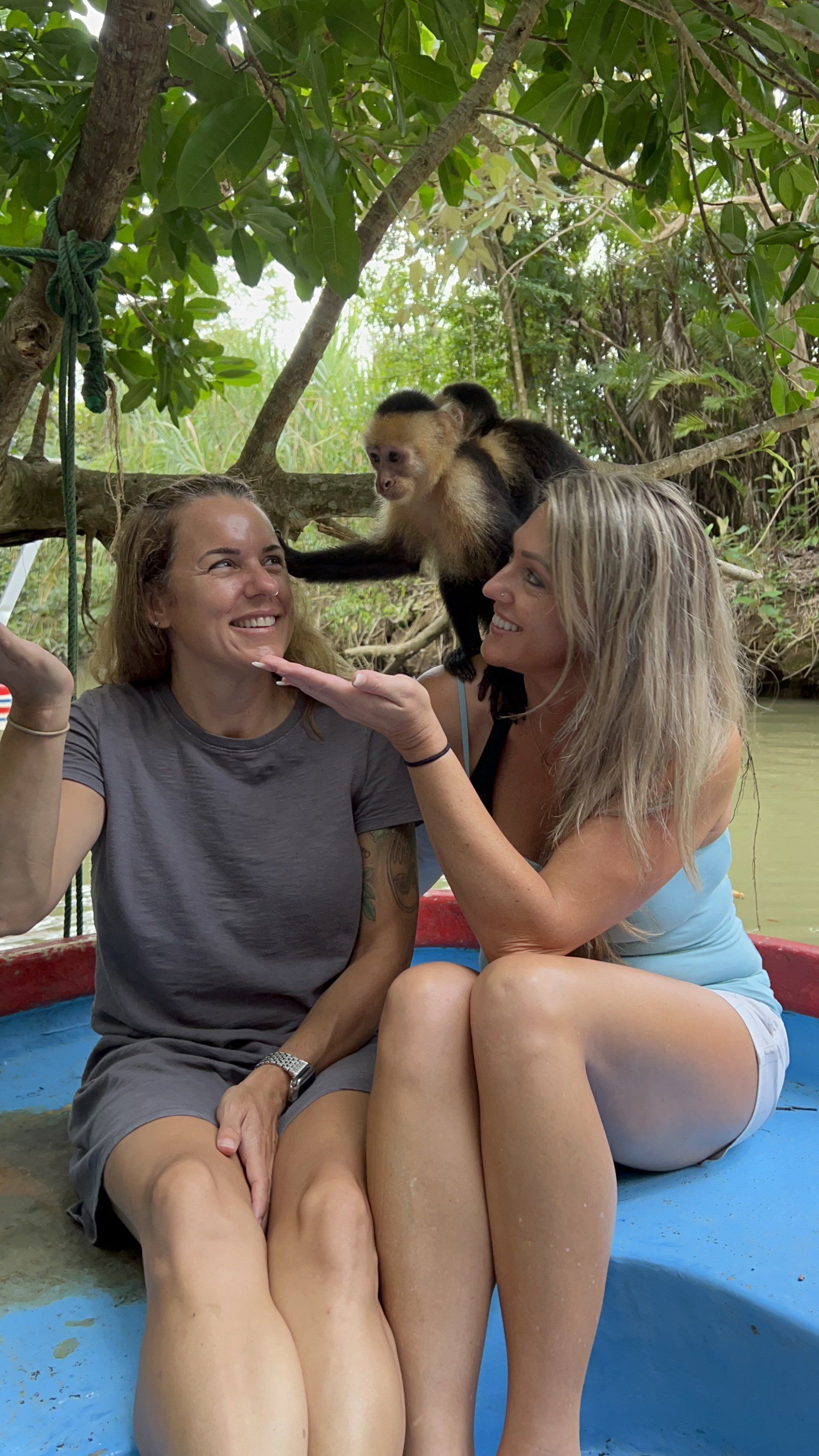 Monkey