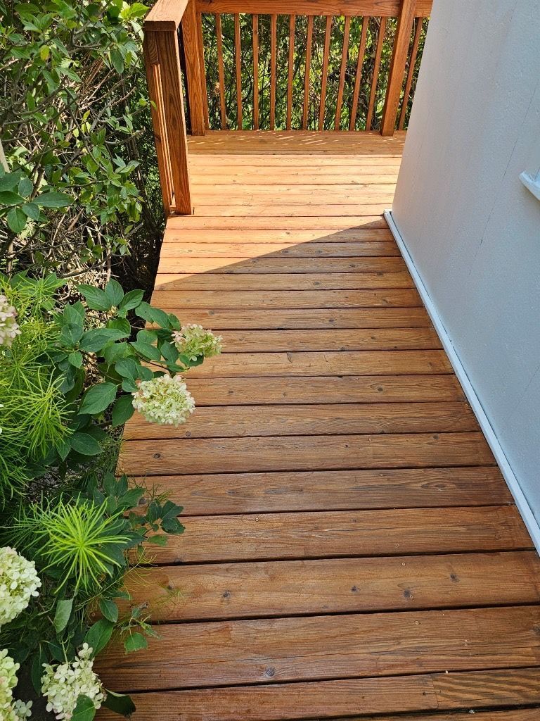 Wooden deck pathway with blooming hydrangea, leading to a railing, next to a white wall.