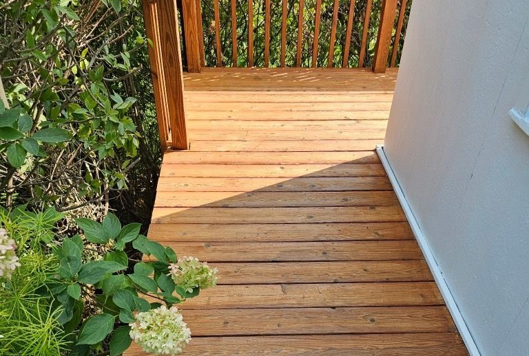 Wooden deck leading to stairs, surrounded by greenery and white wall.