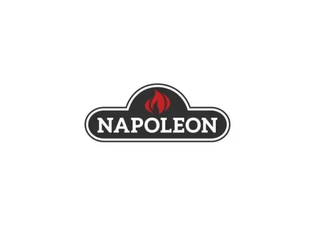 NAPOLEON logo with red flame icon on a black badge