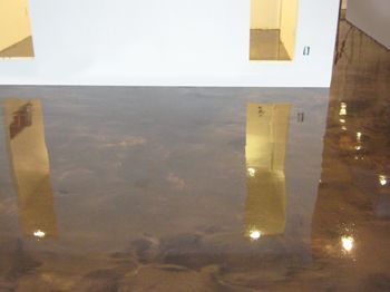 Empty room with a glossy brown floor reflecting light and white walls with gold accents