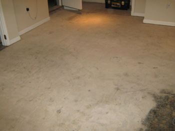 Dirty beige carpet in an empty room with a dark stain near the corner.