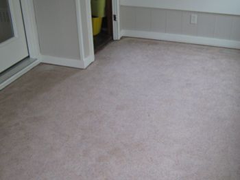 Empty beige carpeted room with white walls and a glass door