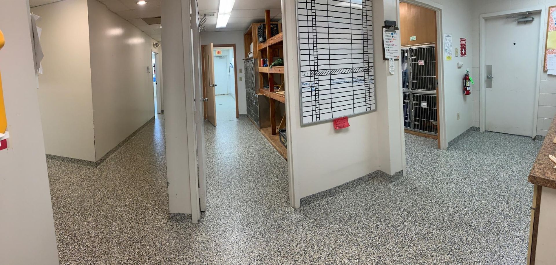 Bright hallway with speckled tile floor, open doors, and wall-mounted notices in a building corridor.