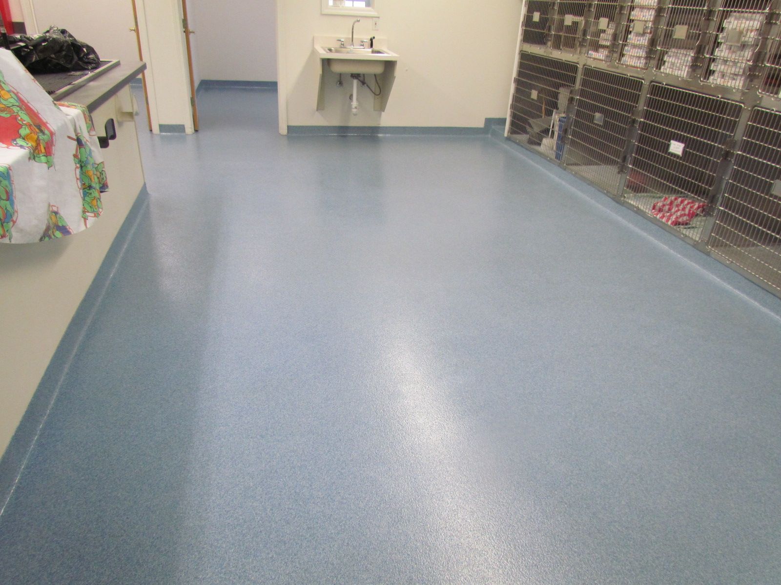 Empty hallway with blue floor, sink at the back, and pet crates lining the right wall