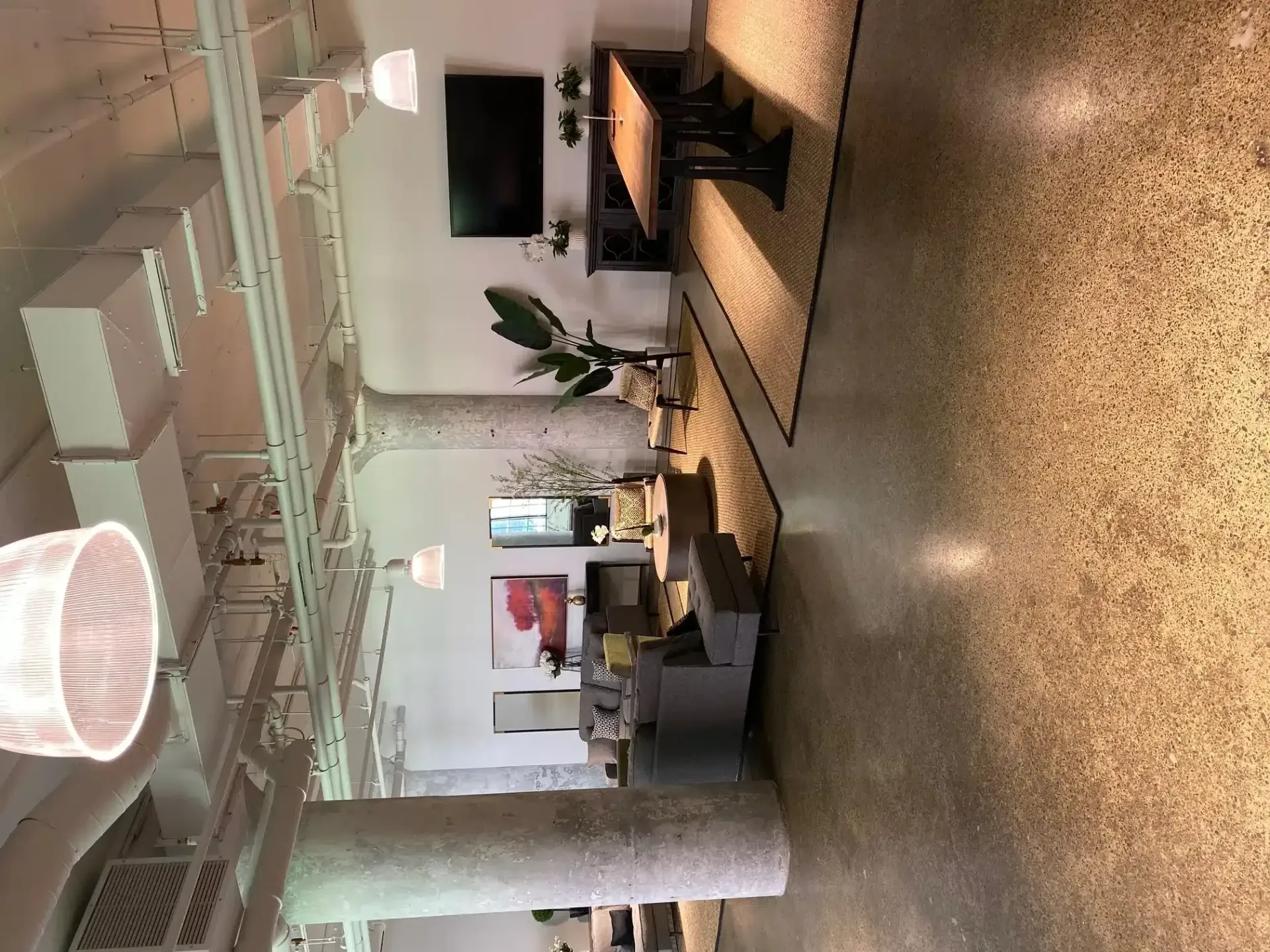 A modern open-concept lounge features gray sofas, a TV, large plants, and wooden tables on area rugs