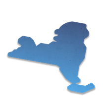 New York graphic