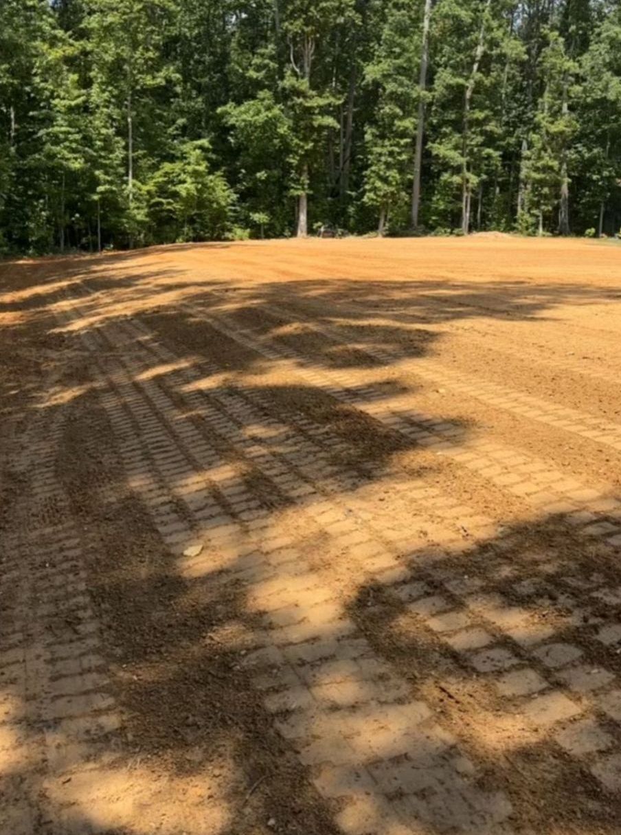 A dirt field in the middle of a forest with trees in the background.