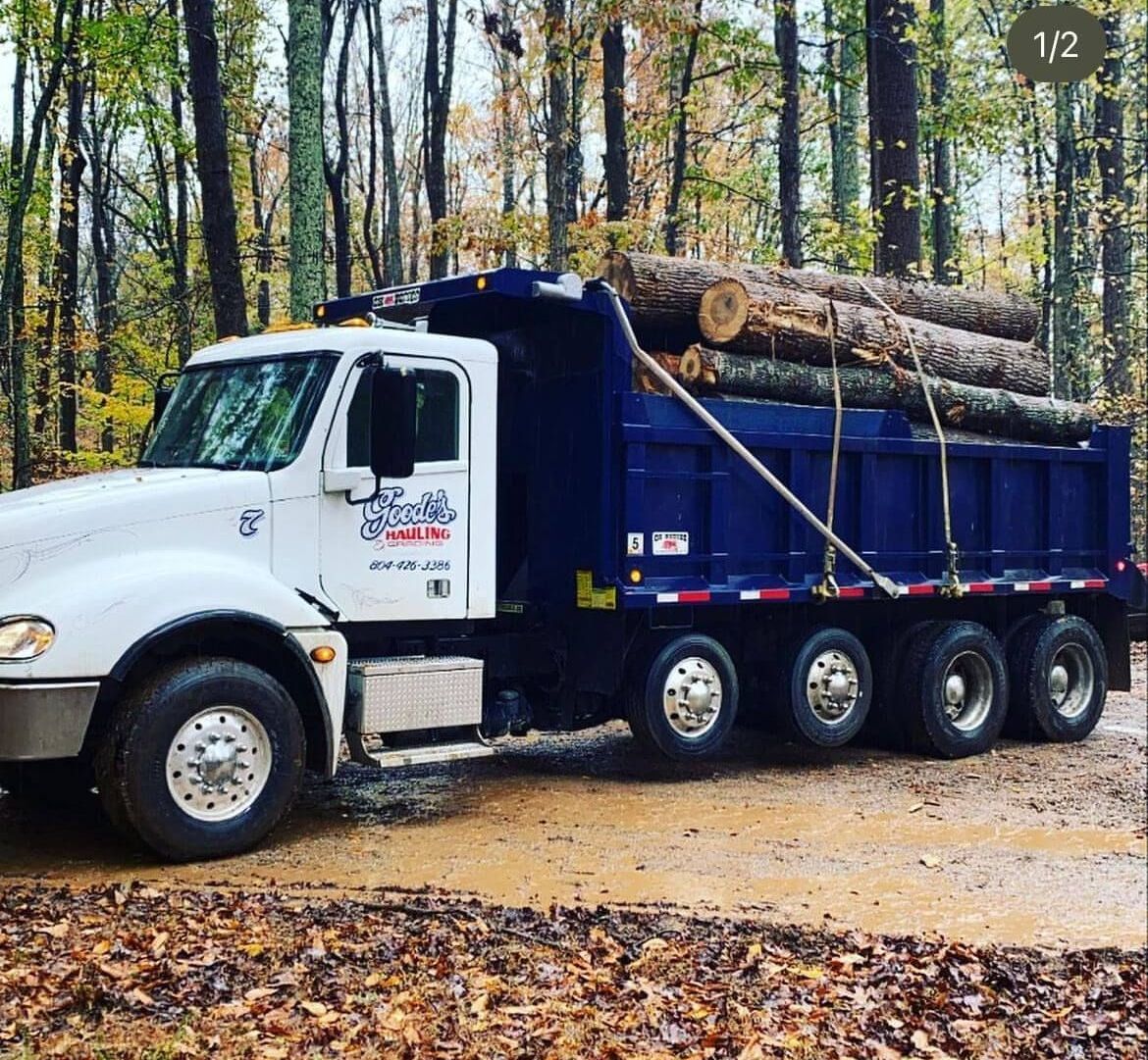 land clearing, lot clearing, richmond, va, bush hogging