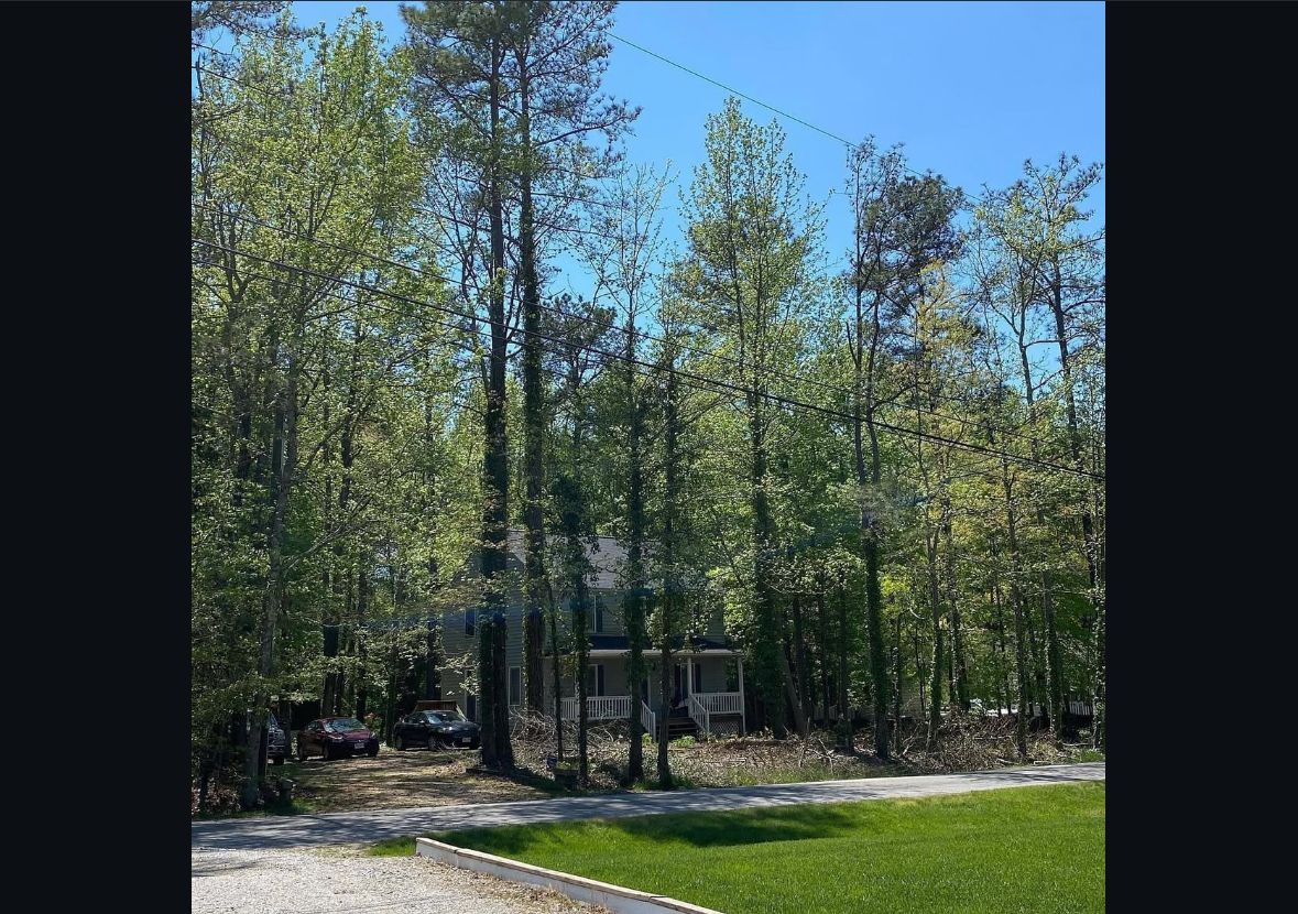 A house is sitting in the middle of a forest surrounded by trees.