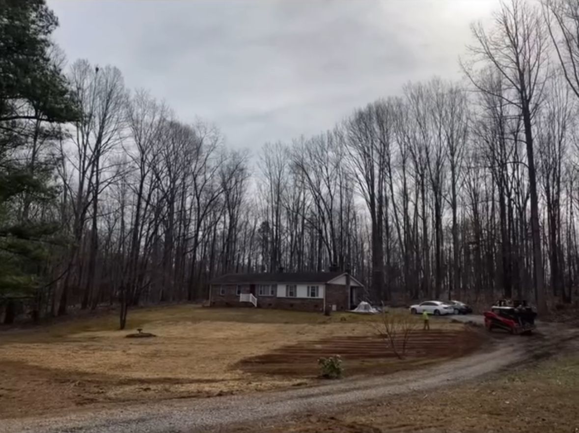 A house is surrounded by trees and a dirt road.