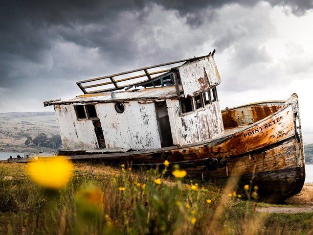 Order Fine Art Prints