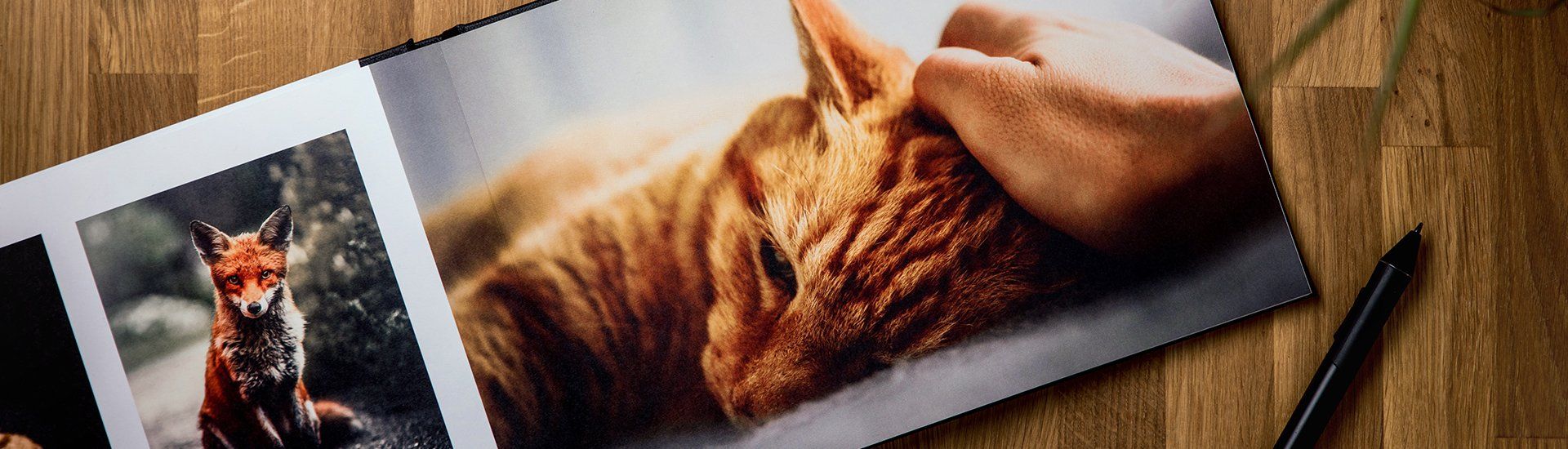 Photo Books
