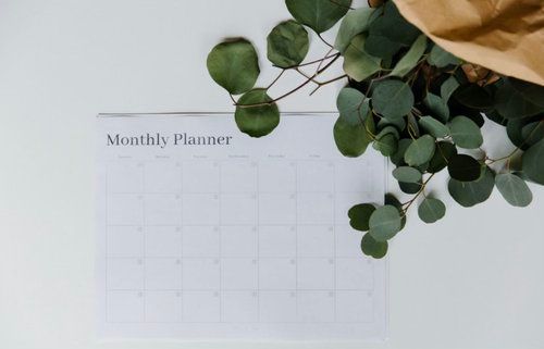 a Monthly Planner is Sitting on a Table Next to a Plant — The Home Assembly In Avoca Beach, NSW
